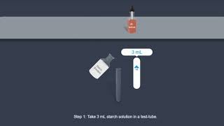 Starch Iodine test [upl. by Hinman8]