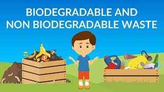 Biodegradable and NonBiodegradable waste  Waste Management  How to Recycle Waste [upl. by Maltzman47]