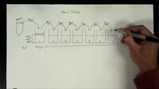 Concentrations Part 5  serial dilution [upl. by Nannoc]