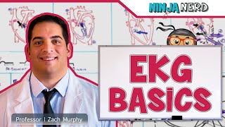 Cardiovascular  EKG Basics [upl. by Eruza703]