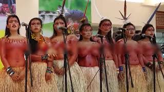 Amazon Yawanawa Tribe [upl. by Aimehs]