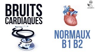 Ecoutez les Bruits Cardiaques Normaux B1 B2 [upl. by Themis]