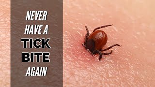 KILL Ticks and Prevent Lyme Disease [upl. by Ytak]