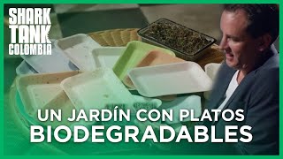 Un jardín con platos biodegradables  Shark Tank Colombia [upl. by Gies]