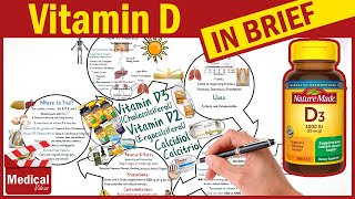 7 Best Vitamin D Supplements A Detailed List Our BestRanked Choices [upl. by Twila]