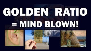 Golden Ratio  Mind Blown [upl. by Gorrian345]