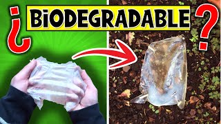 ♻️ ¿El BIOPLÁSTICO Casero es BIODEGRADABLE 😲 Míralo [upl. by Bovill377]