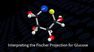 Interpreting the Fischer Projection for Glucose [upl. by Aihtenak18]