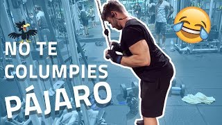 Extensión de triceps en polea en 1 minuto FORTALECER TRÍCEPS [upl. by Aseel]