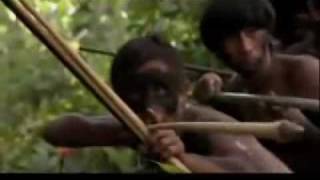 SangreDeAmericaOrg Channel  YANOMAMI Indigenous [upl. by Leahpar]