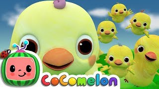 Five Little Birds 2  CoComelon Nursery Rhymes amp Kids Songs [upl. by Cut13]