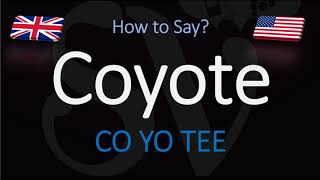 How to Pronounce Coyote  English American Pronunciation [upl. by Tiphanie]