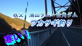 秩父 浦山ダム〜合角ダム ワカサギ釣り [upl. by Amikay]