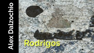 Rodrigos  Alex Dalzochio [upl. by Noyahs]