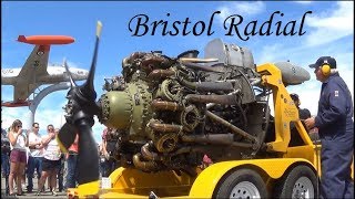 Bristol Hercules Sleeve Valve Radial Engine Run [upl. by Enerol]