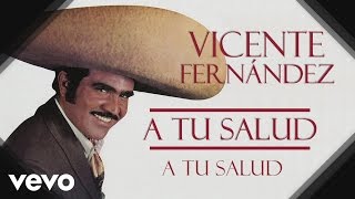 Vicente Fernández  A Tu Salud  Cover Audio [upl. by Arnuad]