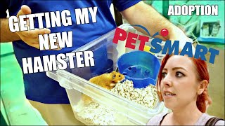 GETTING MY NEW HAMSTER  Petsmart Adoption  Syrian Hamster [upl. by Dole]