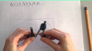 Fibonacci Tutorial [upl. by Zela536]