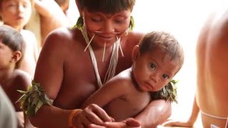 The Yanomami people are contaminated by mercury used in gold digging [upl. by Akedijn]