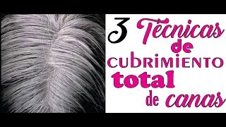 COMO CUBRIR TOTALMENTE LAS CANAS CON ESTAS 3 TÉCNICAS FÁCIL Y RÁPIDOHOW TO COVER TOTALLY THE grays [upl. by Ednew]