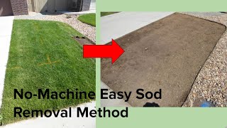 NoMachine easy sodturf removal method [upl. by Hopfinger]