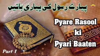 Pyare Rasool Ki Pyari Baaten  Part 1  Quran Aur Hadees [upl. by Taryne]