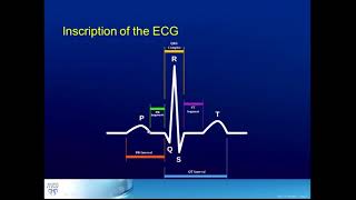 Basic Arrhythmias  Sinus Brady Tachy Premature Beats  ECG EKG Interpretation Part 3 [upl. by Beaufort]