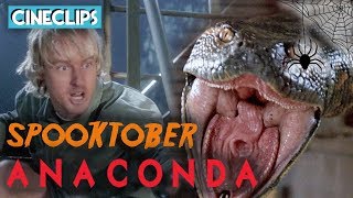 Anaconda Attacks  Anaconda  CineClips [upl. by Anyrak]