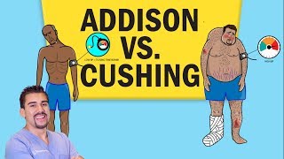 Addisons vs Cushings Disease for NCLEX RN [upl. by Vivia528]