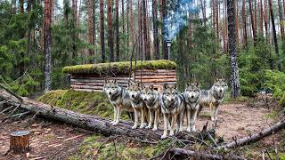 Surviving 48 Hours in a Log Cabin with 9 Wolves on My Trail [upl. by Soren]