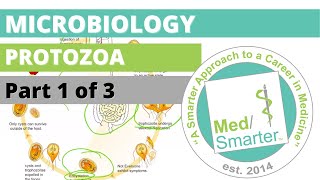 Protozoa  Microbiology  USMLE STEP 1  Part 1 of 3 [upl. by Uela321]