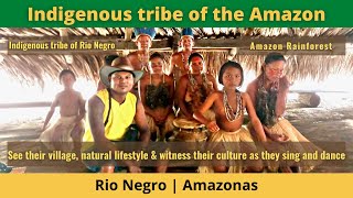 Brazil Travel  Indigenous tribe of the Amazon [upl. by Nonnel]