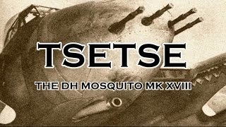 TSETSE the DH Mosquito Mk XVIII [upl. by Pelson]