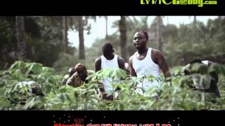 Davido  Aye Official Video with Lyrics [upl. by Mcclenaghan141]