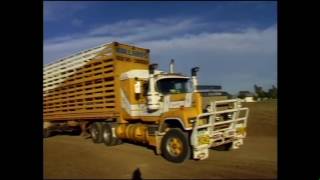 Outback Queensland Sheep Lift [upl. by Ocihc]