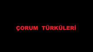 Kaşların Karasına ÇORUM TÜRKÜLERİ [upl. by Myer]