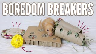 How to keep your hamster BUSY [upl. by Anavi]