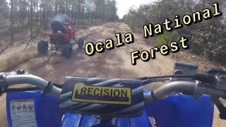 Ocala National Forest ATV Trails [upl. by Staal434]