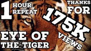 Eye of the Tiger 1 Hour Repeat [upl. by Fredette]