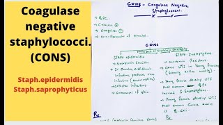 COAGULASE NEGATIVE STAPHYLOCOCCI [upl. by Huan991]