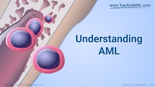 Understanding AML [upl. by Brynn316]