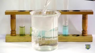 Food Tests  Iodine Biuret Benedicts Ethanol DCPIP [upl. by Oiludbo]