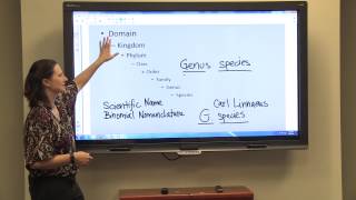 Classification amp Binomial Nomenclature [upl. by Brunn]