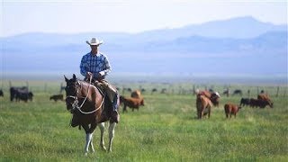 The Last Cowboy at Pine Creek Ranch [upl. by Grigson234]