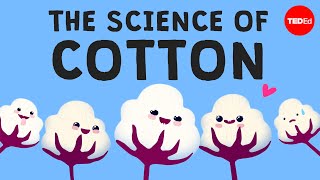 Why is cotton in everything  Michael R Stiff [upl. by Budge]