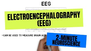 2Minute Neuroscience Electroencephalography EEG [upl. by Hilaria976]