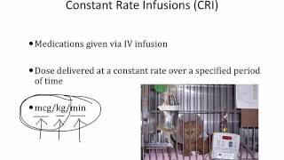 IV fluids Veterinary Pharmacology [upl. by Mossolb]