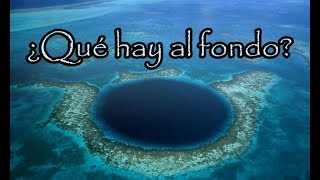 Revelan lo que Hay al FONDO del Gran Agujero Azul de Belice Y no es Nada Bueno [upl. by Millard]