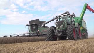 Erntezeit auf Rügen  Ein Marktfruchtbetrieb mit 1800 Hektar  Fendt [upl. by Storm]