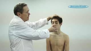 Video 5 Examen de la cabeza [upl. by Maclean314]